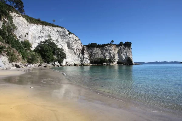 Пляжный Пейзаж Коромандел Новой Зеландии Стингрей Бей — стоковое фото