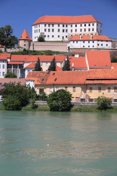 Slovenya Daki Ptuj Kalesi Ptuj Drava Nehrinin Yanındaki Ortaçağ Tarihi — Stok fotoğraf