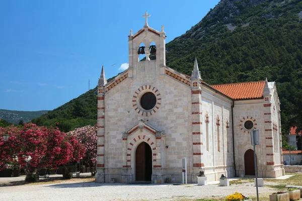 Ston Croatia Old Town Church Oleander Trees Bloom — Stock Photo, Image