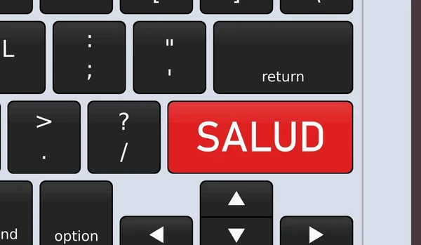 Salud Spanish Language Health Key Laptop Keyboard Concept Vector Illustration — Stockvector