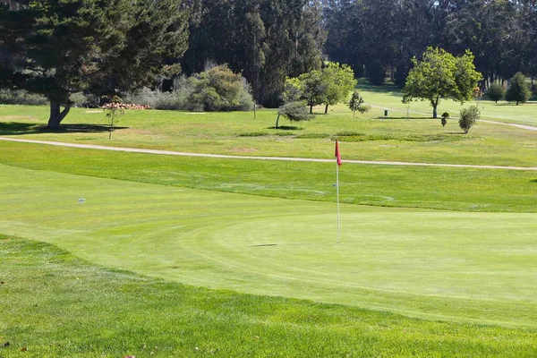 加州乡村俱乐部的观点 通用高尔夫球场绿化 — 图库照片