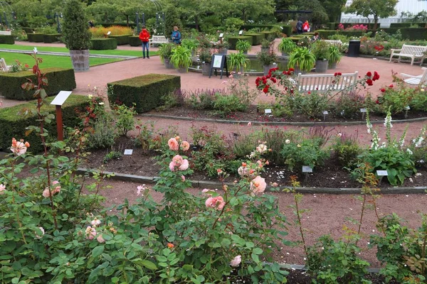 Гетеборг Швеція Серпня 2018 Люди Відвідують Ботанічний Сад Гетеборг Швеції — стокове фото