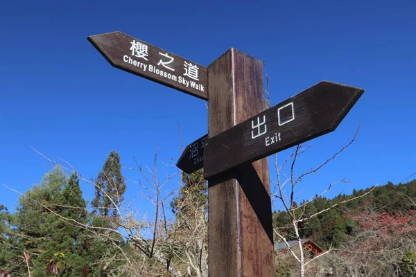 Tourist Attraction Directions Information Alishan National Scenic Area Στην Ταϊβάν — Φωτογραφία Αρχείου