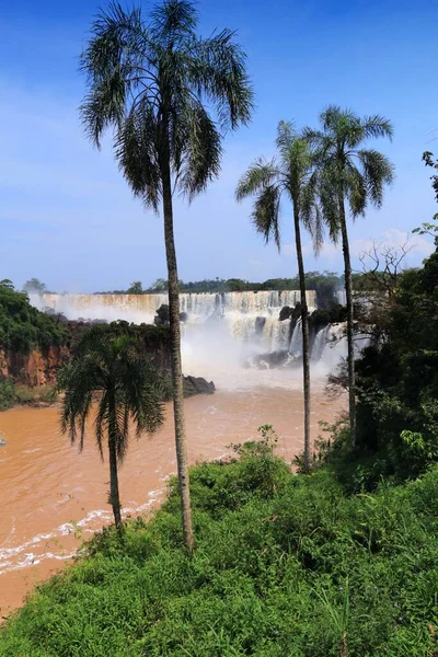 Iguazu Falls Manzara Doğa Harikası Arjantin — Stok fotoğraf