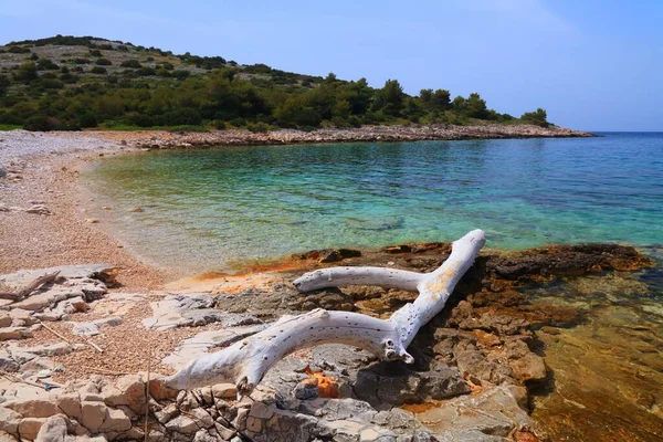 Croazia Isola Zirje Vista Sulla Spiaggia Estate — Foto Stock