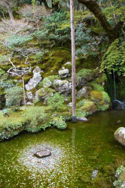 Kyoto, Japonya. Japon şanslı paraları tapınak bahçesindeki bir gölete atıldı..