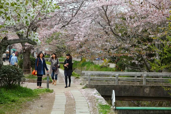 KYOTO, JAPONYA - 16 Nisan 2012: İnsanlar Japonya 'nın Kyoto kentindeki Filozof Yürüyüşü' nü (veya Filozof Yolu) ziyaret eder. Kiraz çiçeği çizgili patika, özellikle Hanami mevsimi için büyük bir Japon turistik cazibesidir..