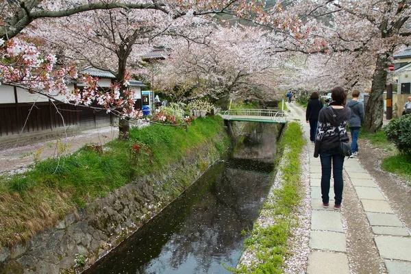 Kyoto Ιαπωνια Απριλιου 2012 Άνθρωποι Επισκέπτονται Philosopher Walk Μονοπάτι Του — Φωτογραφία Αρχείου