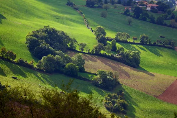 Krajobraz Wiejski Francji Dolina Tarn Niedaleko Millau Pola Pastwiska Francji — Zdjęcie stockowe