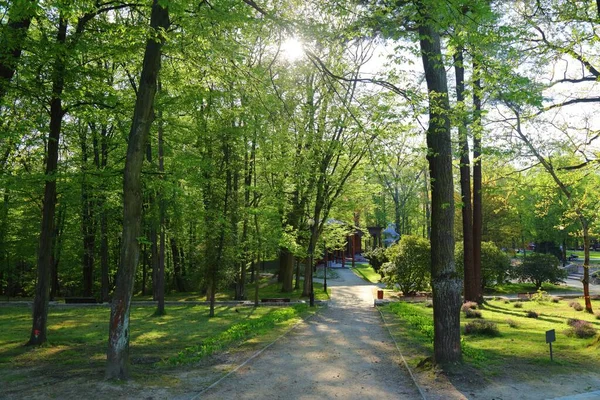 Jastrzebie Zdroj Città Polonia Parco Termale Storico Polacco Park Zdrojowy — Foto Stock