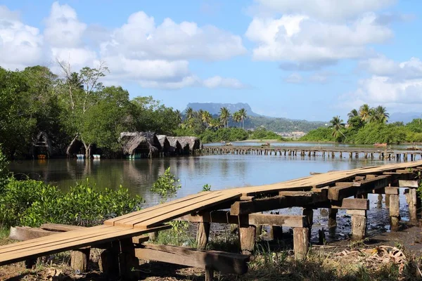 古巴Baracoa Rio Miel木桥 Alejandro Humboldt国家公园的一部分 — 图库照片