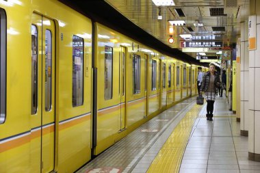 TOKYO, JAPONYAN - 28 Kasım 2016: Tokyo Metro Ginza Line trenine binen insanlar. Toei Metro ve Tokyo Metro 285 istasyona ve 8.7 milyon günlük kullanıcıya sahiptir..