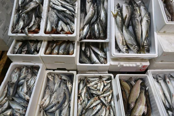 Fruits Mer Billingsgate Fish Market Poplar Londres Royaume Uni — Photo