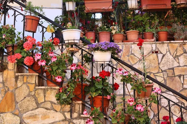 Greek Village Island Corfu Sinarades Rural Greece Small Private Flower — Stock Photo, Image