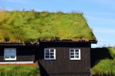 Norveç çimen çimenliği geleneksel çatı evi. Agder ilçesindeki Setesdalen vadisinde Norveç geleneksel mimarisi.