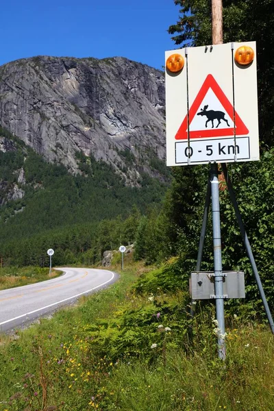 Alce Sinal Aviso Uma Estrada Montanha Vale Setesdal Condado Agder — Fotografia de Stock