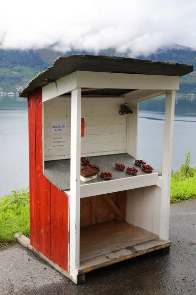 自助樱桃树果摊 挪威敖达农场的新鲜樱桃 — 图库照片