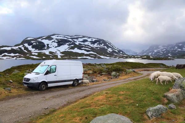 Haukelifjell Norway Июля 2020 Года Camper Van Vacation Haukelifjell Mountains — стоковое фото