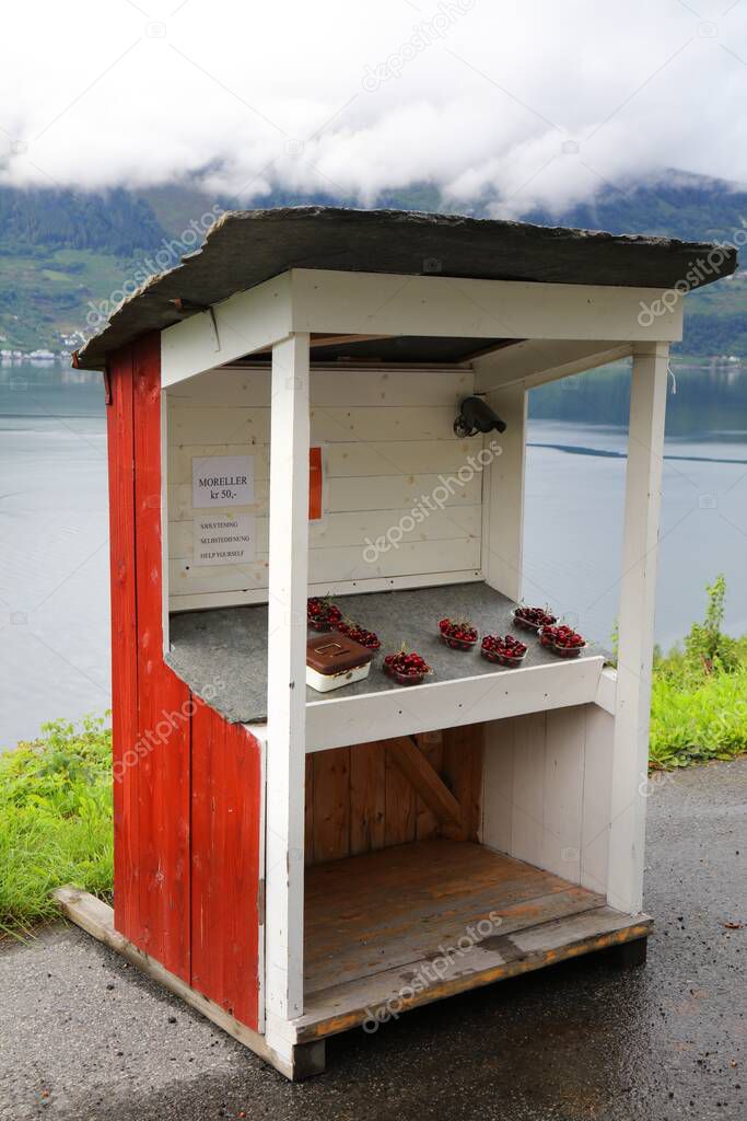 Self-service cherry fruit stand. Fresh cherries straight from farm in Odda, Norway.