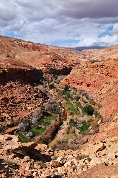 摩洛哥风景 阿西夫Ounila河峡谷 在Ait Benhaddou附近有盛开的杏仁果园 — 图库照片