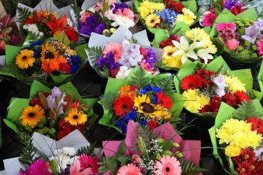 Stockholm, İsveç 'te çiçekçi dükkanı hazır. Gerbera ve zambak çiçekleriyle çiçekçi seçimi..