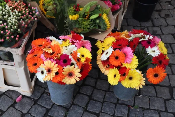 Stockholm Sveç Çiçekçi Dükkanı Hazır Gerbera Çiçekleriyle Çiçekçi Seçimi — Stok fotoğraf
