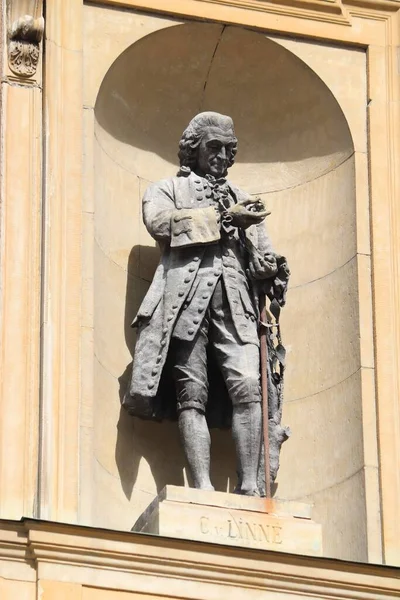 Стокгольм Шведен Августа 2018 Года Статуя Карла Линнея Фасаде Королевского — стоковое фото
