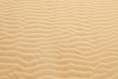 Fas 'ta kum deseni. Çöl kum dalgaları arkaplanı.