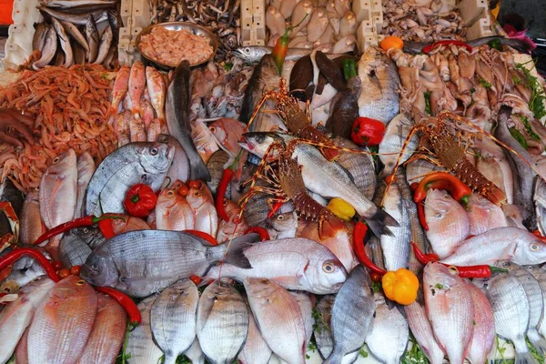 Essaouiraのモロッコの魚市場 アフリカ沿岸や棘のあるロブスター ラングスタ からの魚種の多様性 — ストック写真