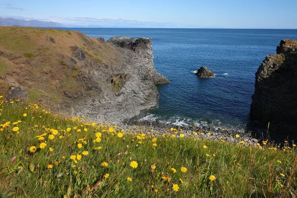 Islande Paysage Côte Péninsule Snaefellsnes Dans Ouest Islande Vesturland — Photo