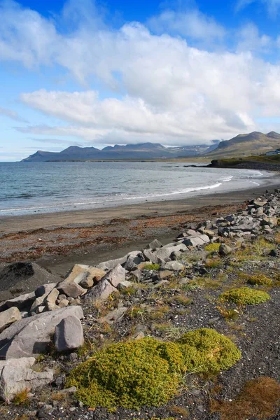 Olafsvik Siyah Plajı Batı Zlanda Snaefellsnes Yarımadası — Stok fotoğraf