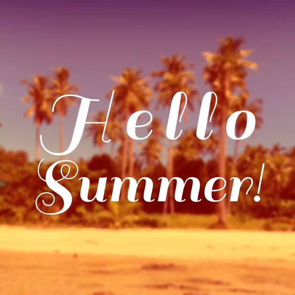 Hallo Sommer Schriftzug Web Banner Hallo Sommer Textzeichen Für Social — Stockfoto