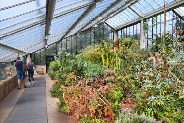 KEW, UK - 15 Temmuz 2019: İnsanlar Büyük Londra 'daki Kew Gardens' ı ziyaret ediyor. Kraliyet Botanik Bahçeleri UNESCO Dünya Mirası Alanı olarak belirlendi.