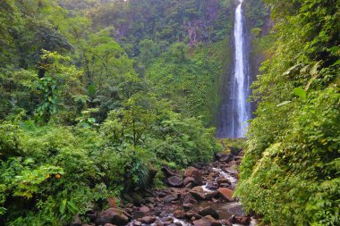 Guadeloupe Karayip adasında şelale. Carbet Şelalesi, Guadeloupe Ulusal Parkı 'nda şelale. Doğal mucize..