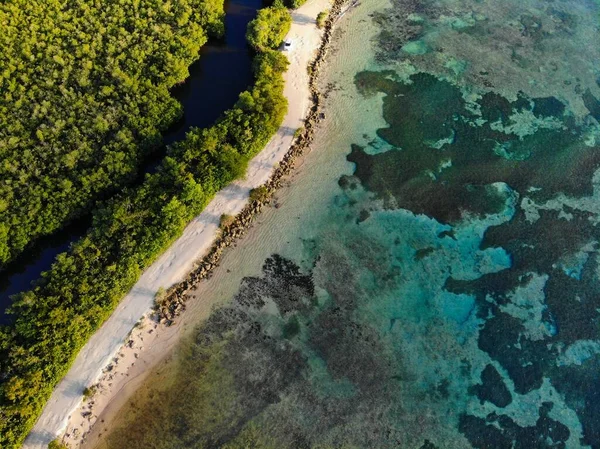 Guadalupe Coral Reef Drone View Vista Aérea Playa Souffleur — Foto de Stock