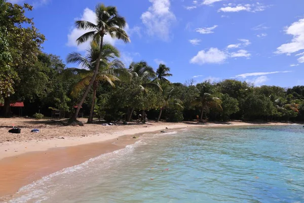 瓜德罗普风景区 小哈弗尔海滩 完美的加勒比沙滩 — 图库照片