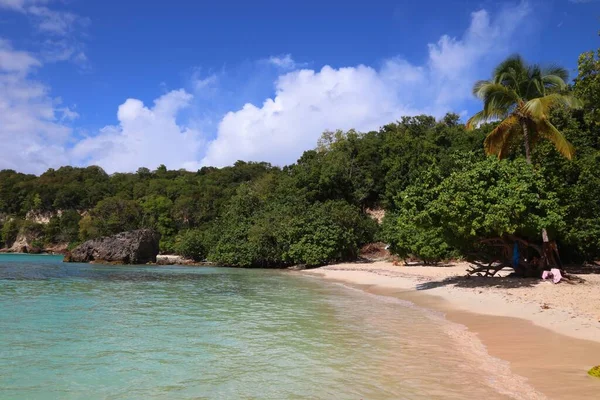 瓜德罗普风景区 小哈弗尔海滩 美丽的加勒比沙滩 — 图库照片