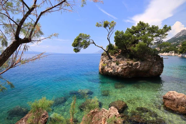 Brela Croatia Natural Landmark Rock Island Sturdy Pine Trees Punta — Stock Photo, Image