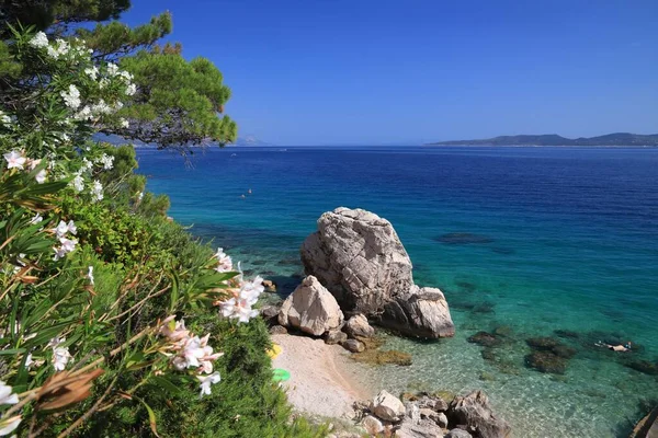 Chorvatsko Letní Dovolená Krásná Krajina Dalmácii Pláž Marusici Jaderské Moře — Stock fotografie