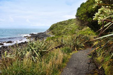 Sahil yolu. Bluff, Southland, Yeni Zelanda 'da Bush yürüyüşü.