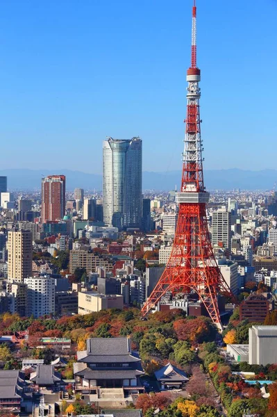 Tokyo Japan December 2016 Cityscape Tokyo Відомою Tokyo Tower Столиця — стокове фото