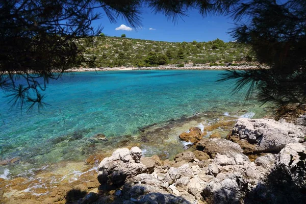 Kroatien Dalmatien Adriaküste Murter Insel Sommer Meerblick — Stockfoto