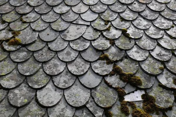 Norway Traditional Stone Slate Roof Old Stone Slate Tiles Covered — Stock Photo, Image