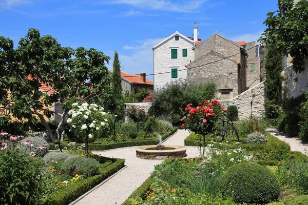 Croatie Sibenik Dalmatie Jardin Fleuri Vieille Ville — Photo