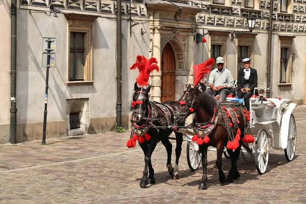 Krakow Πολωνια Αυγουστου 2018 Άνθρωποι Οδηγούν Ένα Άλογο Μεταφοράς Στην — Φωτογραφία Αρχείου