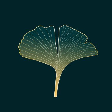 Ginkgo biloba yaprağı. Japon temalı, wabi sabi tarzı. Basit ginkgo yaprağı dijital karalama çizimi.