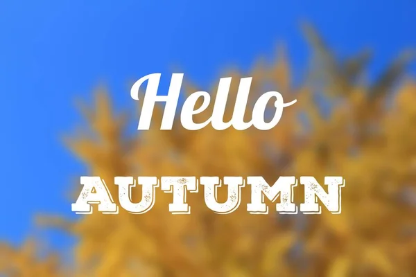 Hallo Herbst Web Banner Social Media Zeichen Für Den Herbst — Stockfoto