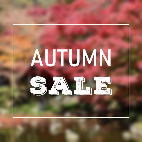 Podzimní Webový Banner Prodeje Podzimní Prodejní Textová Značka Pro Sociální — Stock fotografie