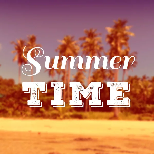 Summer Time Text Web Banner Summer Time Word Sign Social — Stockfoto