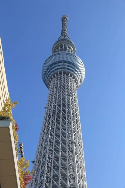 日本东京 2016年11月30日 日本东京天树塔 634米高的电视塔是世界上第二高的建筑 — 图库照片